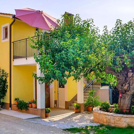 Studio Apartment Gianni Vižinada Εξωτερικό φωτογραφία