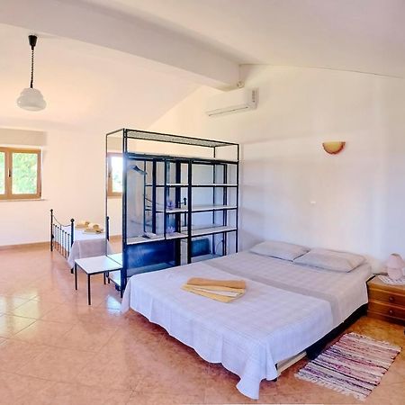 Studio Apartment Gianni Vižinada Εξωτερικό φωτογραφία
