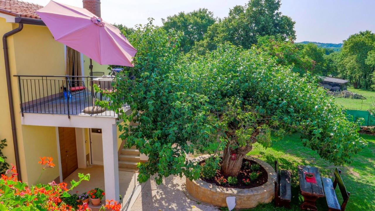 Studio Apartment Gianni Vižinada Εξωτερικό φωτογραφία