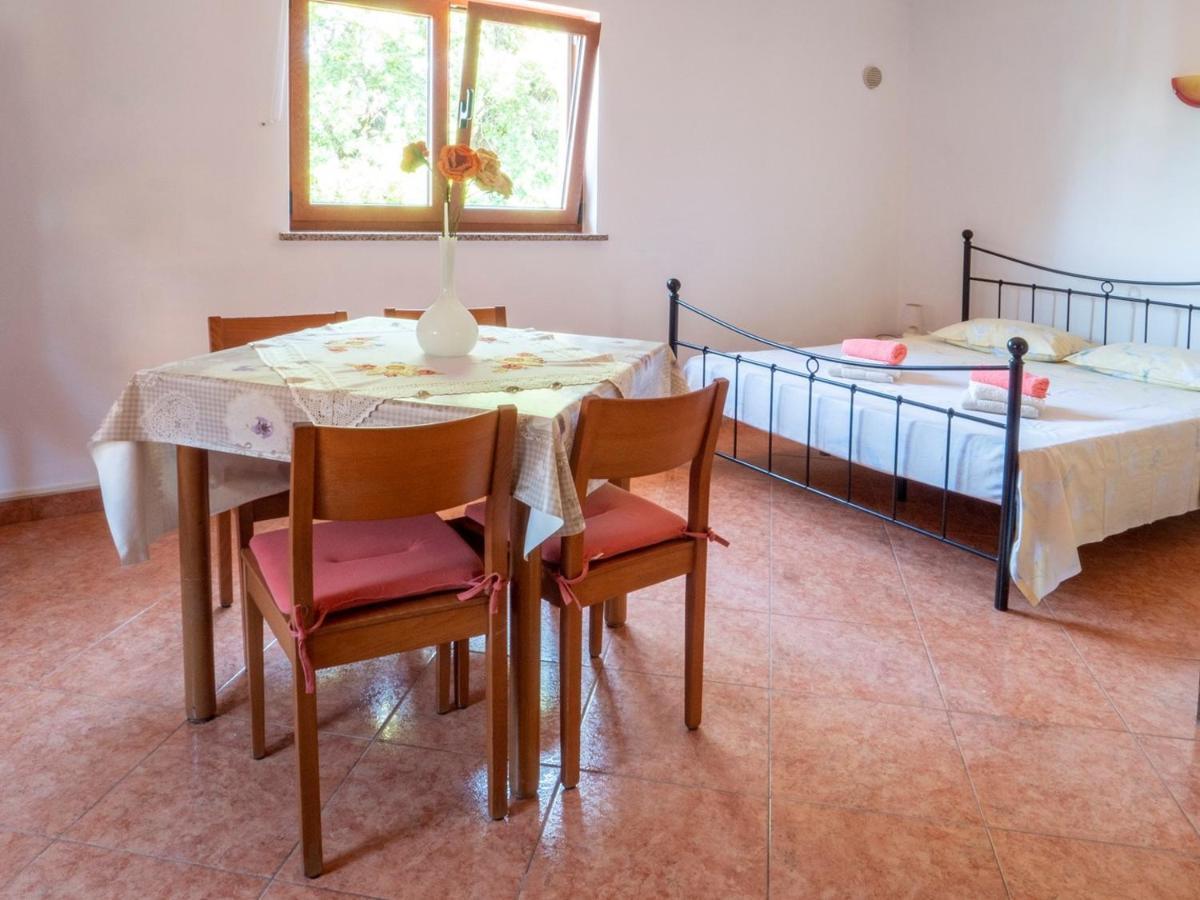 Studio Apartment Gianni Vižinada Εξωτερικό φωτογραφία