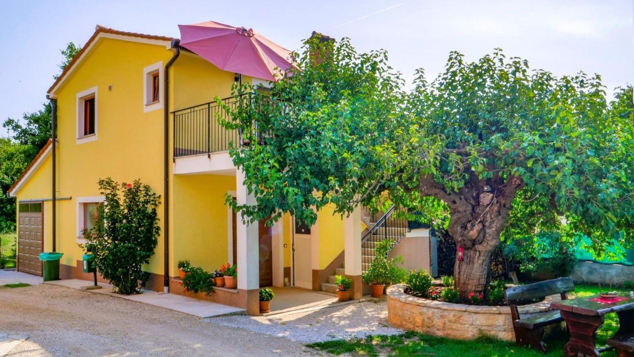 Studio Apartment Gianni Vižinada Εξωτερικό φωτογραφία