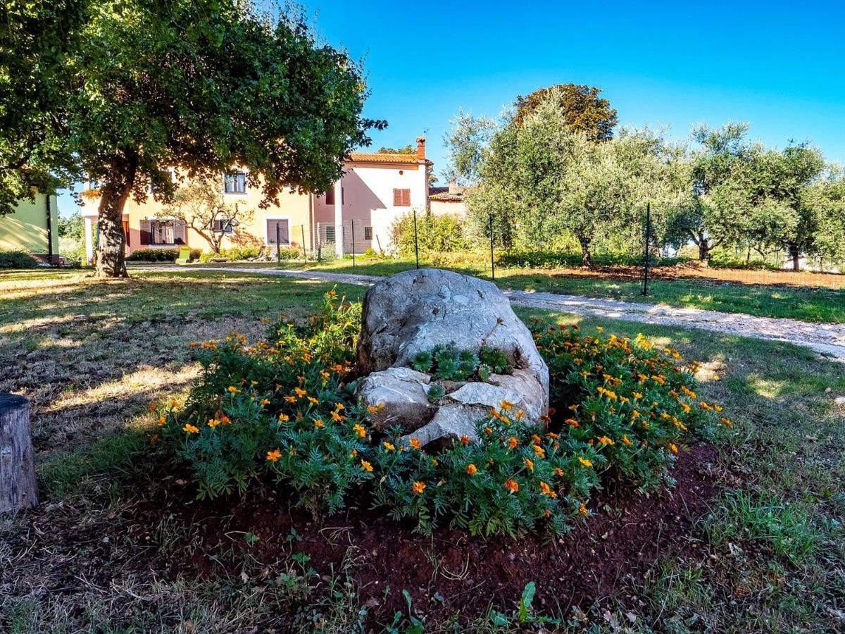 Studio Apartment Gianni Vižinada Εξωτερικό φωτογραφία