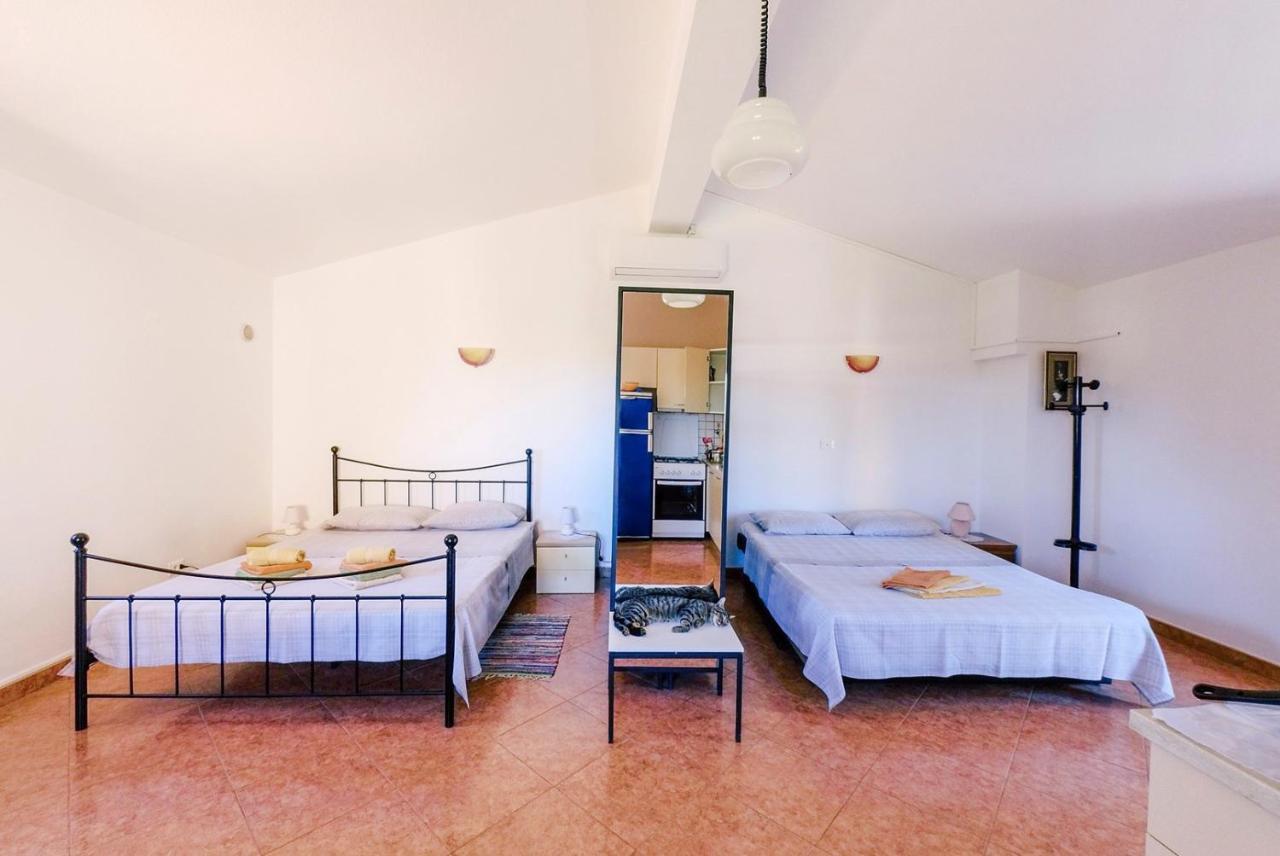 Studio Apartment Gianni Vižinada Εξωτερικό φωτογραφία